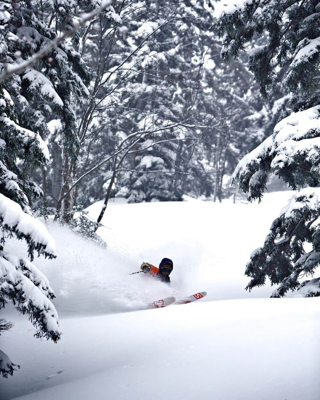 佐々木明のインスタグラム：「【 @keyphoto 】 好きです北海道 Love snow Hokkaido Love Ski Hokkaido   #photo by @keyphoto  #北海道 #hokkaido #hokkaipow」