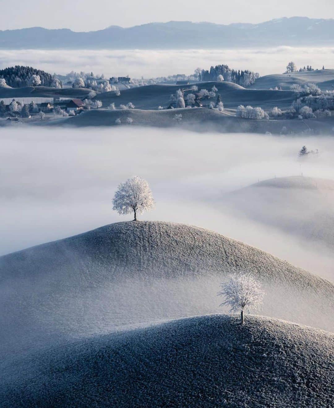 Canon Photographyさんのインスタグラム写真 - (Canon PhotographyInstagram)「Frosty landscapes Photography // @helenapichler  Curated by @henry.nathan  #frost #winter #switzerland #cold #landscape」1月19日 21時40分 - cpcollectives