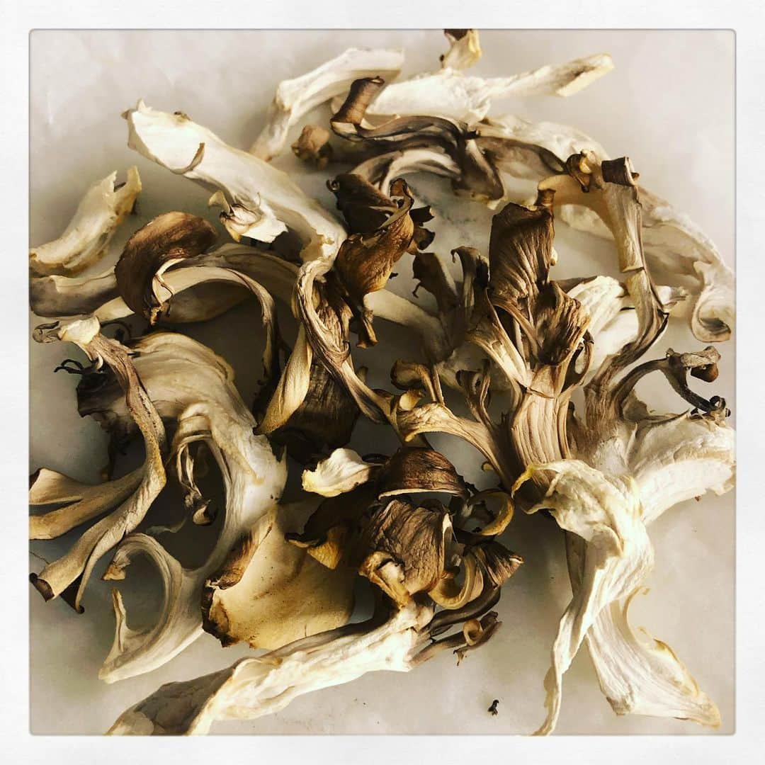 のインスタグラム：「先日、母が送ってくれた干し舞茸や、干ししめじがとっても美味しかったので、干し舞茸を作ってみました✨ ・ 太陽が🌞調理してくれたキノコは味がぎゅっと詰まって、炒め物や何に使っても美味しいんです♪  ・ この時期、乾燥もしてますし晴れてれば２日くらいで出来ます。干し過ぎもダメらしいので、気をつけてくださいねー😊 ・ #干し舞茸 #簡単 #美味しい #楽しい #干し網は #キャンプ用品コーナー #にあるはず #😉」