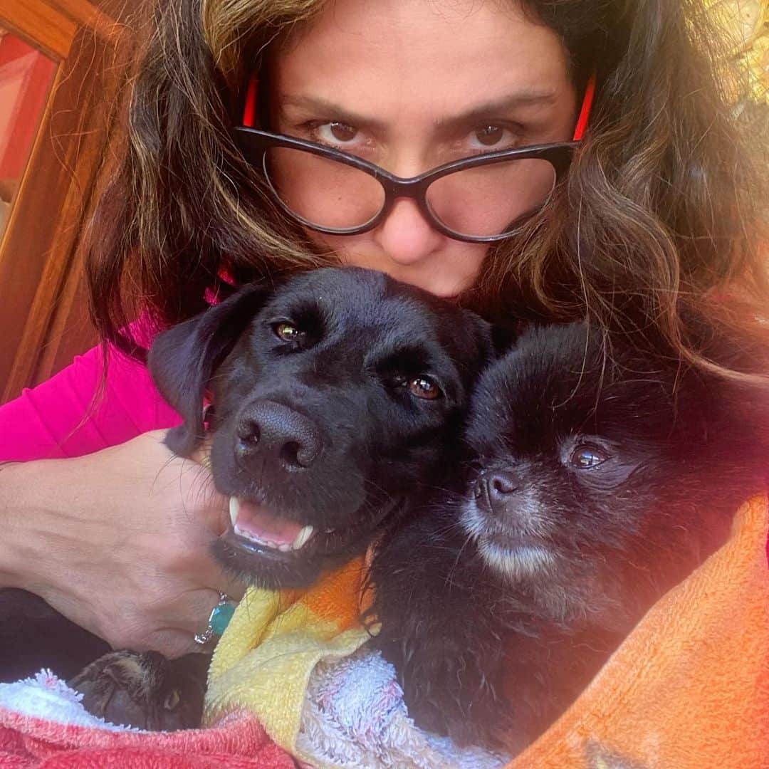 Giovanna Antonelliのインスタグラム：「'Fofurices'! #dogslovers」