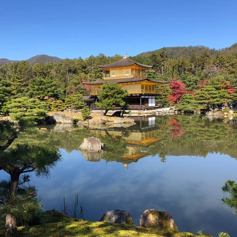 パンツェッタ・ジローラモのインスタグラム：「Kyoto #kyoto #iloveyou #very #beautiful」