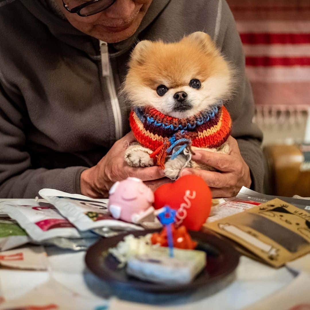 ポテチンのインスタグラム：「It’s my birthday today 🎂 Thank you, all of my friends.」