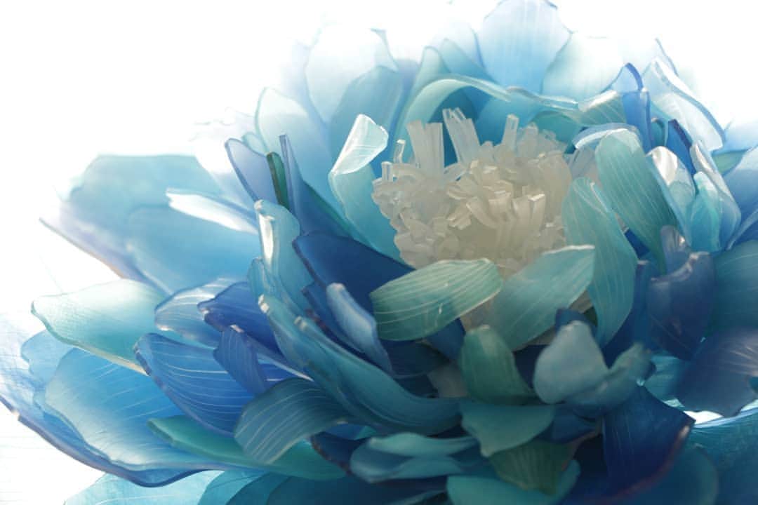 しば　さおりのインスタグラム：「優しい青に包まれて💠  #立体プラバン #プラバン #プラ板  #ハンドメイド  #手仕事 #花の好きな人と繋がりたい  #花のあるくらし  #熱縮片  #ハンドメイド雑貨 #shrinkplastic #handmade」