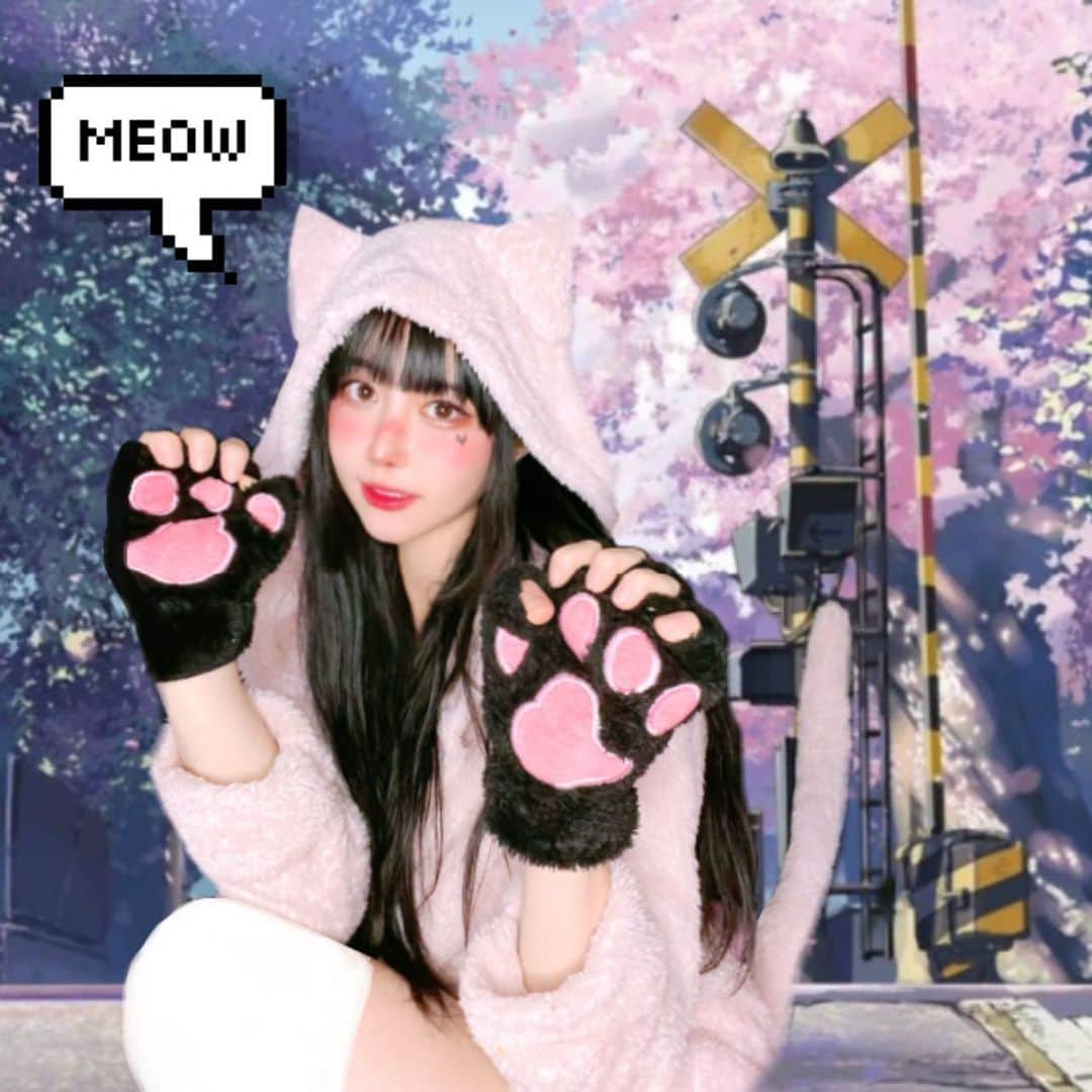 ハユンさんのインスタグラム写真 - (ハユンInstagram)「#catgirl 🐾」1月19日 22時50分 - leehwasi