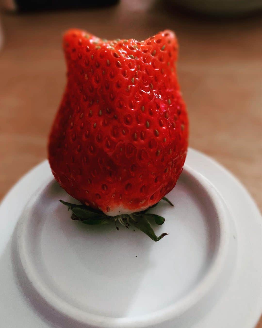 のインスタグラム：「何かに似ている。。。  見れば見るほど食べ難い。」