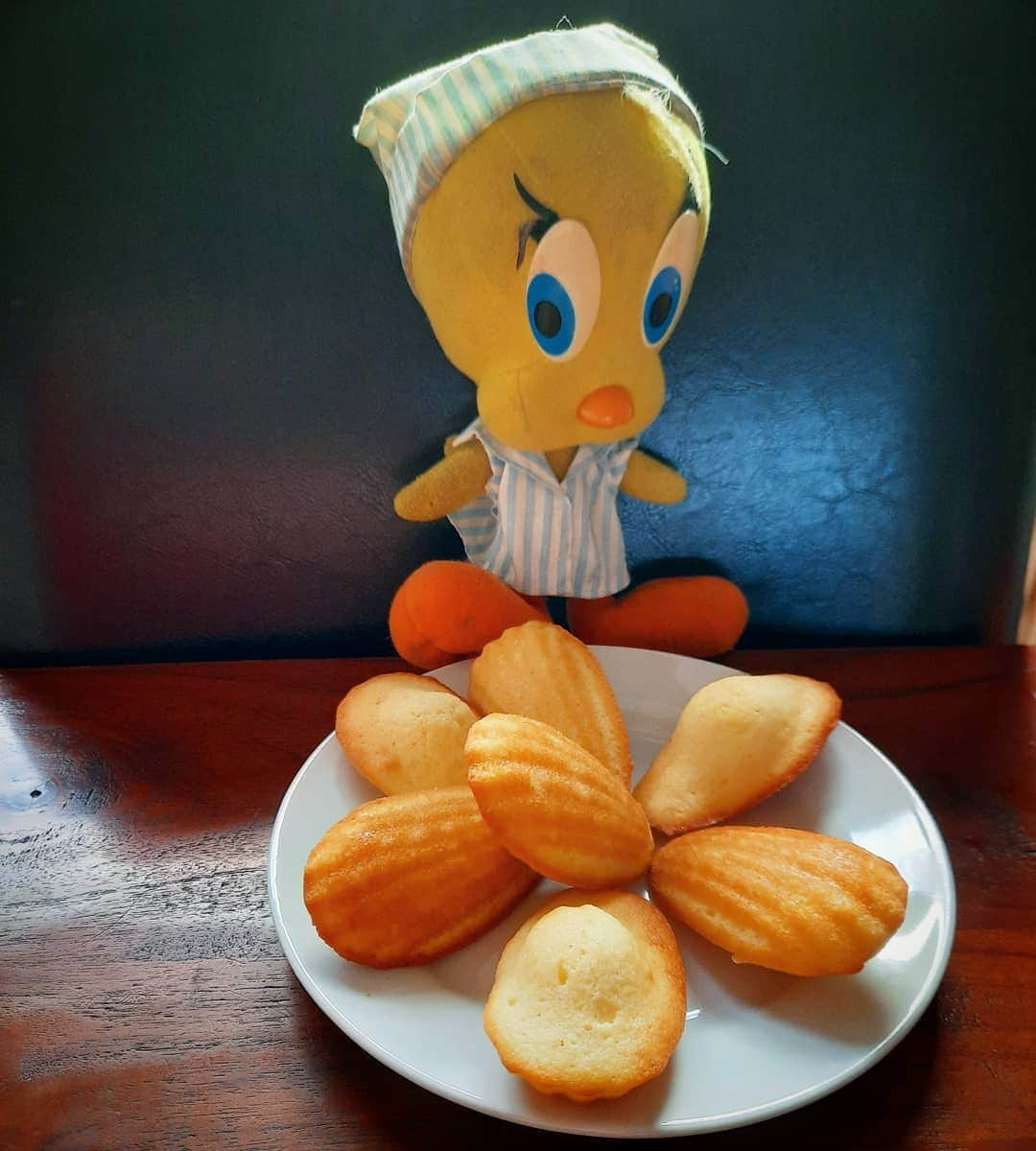 Little Yellow Birdさんのインスタグラム写真 - (Little Yellow BirdInstagram)「Madeleines!! Freshly made, still warm! #honeygroveteapartytuesday #littleyellowbird #tweety #tweetykweelapis #adventures #yellow #bird #tuesday #sweet #sweettreat #pastry #bakedgoods #homemade #koekjes #heelhollandbakt #hhb #madeleines #baking #january #winter #stillinlockdown #stupidvirus #stuffedanimalsofinstagram #plushiesofinstagram」1月19日 23時00分 - tweetykweelapis