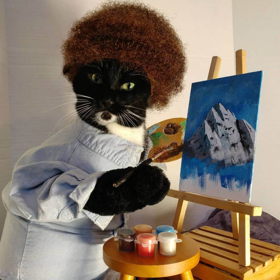 猫コスプレさんのインスタグラム写真 - (猫コスプレInstagram)「"Believe that you can do it cause you can do it!"  #BobRoss  . . . . . . . . #catcosplay #cosplay #cosplayer #cat #catcostume #catsinclothes #catsofinstagram #catstagram #petclothes #PetCostume #bobrosscosplay #bobrosscostume #thejoyofpainting #painting #wig #fro #humor #funny #funnycats #inspiration #inspirationalquotes」1月19日 23時37分 - cat_cosplay