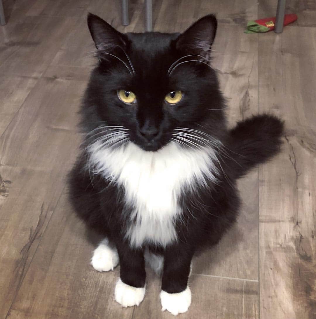ミシェル・トラクテンバーグさんのインスタグラム写真 - (ミシェル・トラクテンバーグInstagram)「Mumzie. My bowl is half empty.  Well, Mister Martini. Tomorrow. We can finally be positive again. 💙🎉」1月20日 0時05分 - michelletrachtenberg