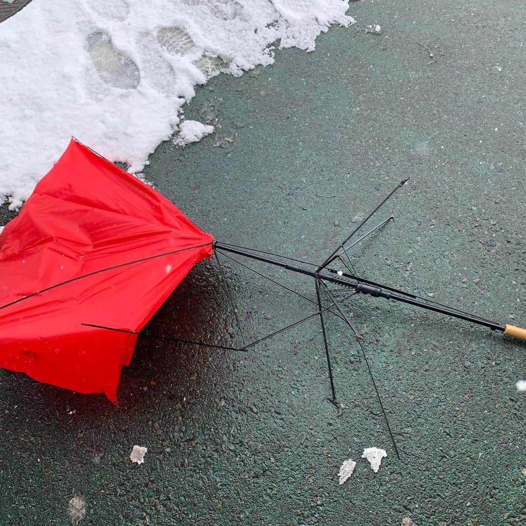 大隅智子さんのインスタグラム写真 - (大隅智子Instagram)「盛岡も19日の朝は吹雪になりました。 通勤中、強風で傘が壊れてしまいました。 吹雪の時は傘は役に立ちません。 昼前には、盛岡の積雪は33センチになり、今季一番多くなりました。 路面の雪は多くなっています！ 寒い日は、お茶漬けで美味しく、温まりました。 #岩手 #盛岡 #大雪 #吹雪 #お茶漬け」1月20日 0時15分 - tomokotenki