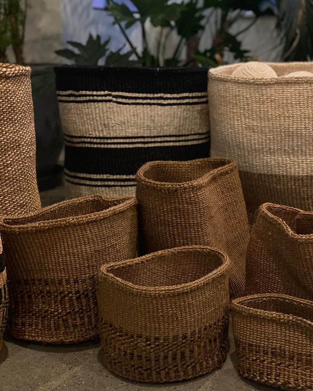 オバッキさんのインスタグラム写真 - (オバッキInstagram)「Our Sisal Baskets 🌾 One-of-a-kind and made from the natural sisal fiber.   Each baskets has its own unique patterns and colors that reflect  the creative flow of the weavers that made it 💛  Shop the baskets from the weaver’s of Kitui via our link in profile!  #craftanddesign #sustainabledesign #slowdesign #authenticdesign #cabanamagazine #worldofinteriors #rawdesign」1月20日 10時35分 - obakki