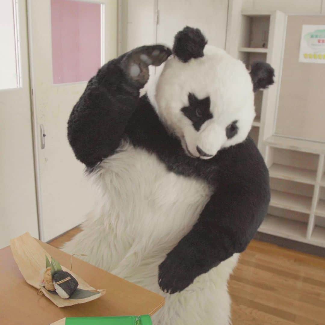 星星（セイセイ）さんのインスタグラム写真 - (星星（セイセイ）Instagram)「🍙🎋🍩 #早弁 #早すぎ #お昼どうしよう . きょうの #ベラベラENGLISHは ...💯 🌟neighbor 🌟お隣さん、隣の席 . お弁当🍱を食べる時は、お腹が空いた時だよね✨🤩 #だから朝から食べてもOK！ . #星星 #パンダ #panda #pandagram #パンダ好きな人と繋がりたい #ZIP!」1月20日 10時51分 - seisei_panda
