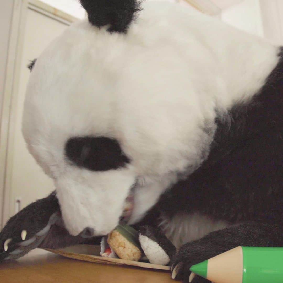 星星（セイセイ）さんのインスタグラム写真 - (星星（セイセイ）Instagram)「🍙🎋🍩 #早弁 #早すぎ #お昼どうしよう . きょうの #ベラベラENGLISHは ...💯 🌟neighbor 🌟お隣さん、隣の席 . お弁当🍱を食べる時は、お腹が空いた時だよね✨🤩 #だから朝から食べてもOK！ . #星星 #パンダ #panda #pandagram #パンダ好きな人と繋がりたい #ZIP!」1月20日 10時51分 - seisei_panda