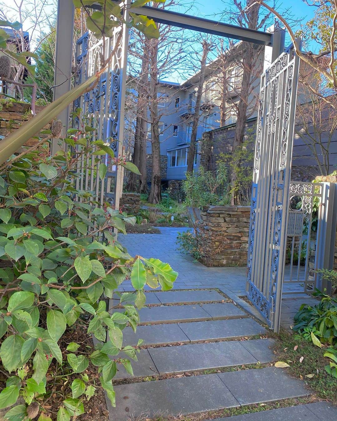 Erenaのインスタグラム：「🌳屋久島の森を再現したCafe🌳🕊 久々にまたここ来れた♡ 森の中にいるみたいなcafeだよ☺️ マイナスイオンたっぷり🌿 充電中… ⇒⇒⇒つづく . #yakushima#yakushimajapan#cafe#poundcake#treenuts#guliguli#ginger#tea#cake#屋久島#森#グアバティー#紅茶#パウンドケーキ#キャラメリゼ#木の実#ラズベリー#ラズベリーチーズケーキ#チーズケーキ#ケーキ#森林#マイナスイオン#森林浴」
