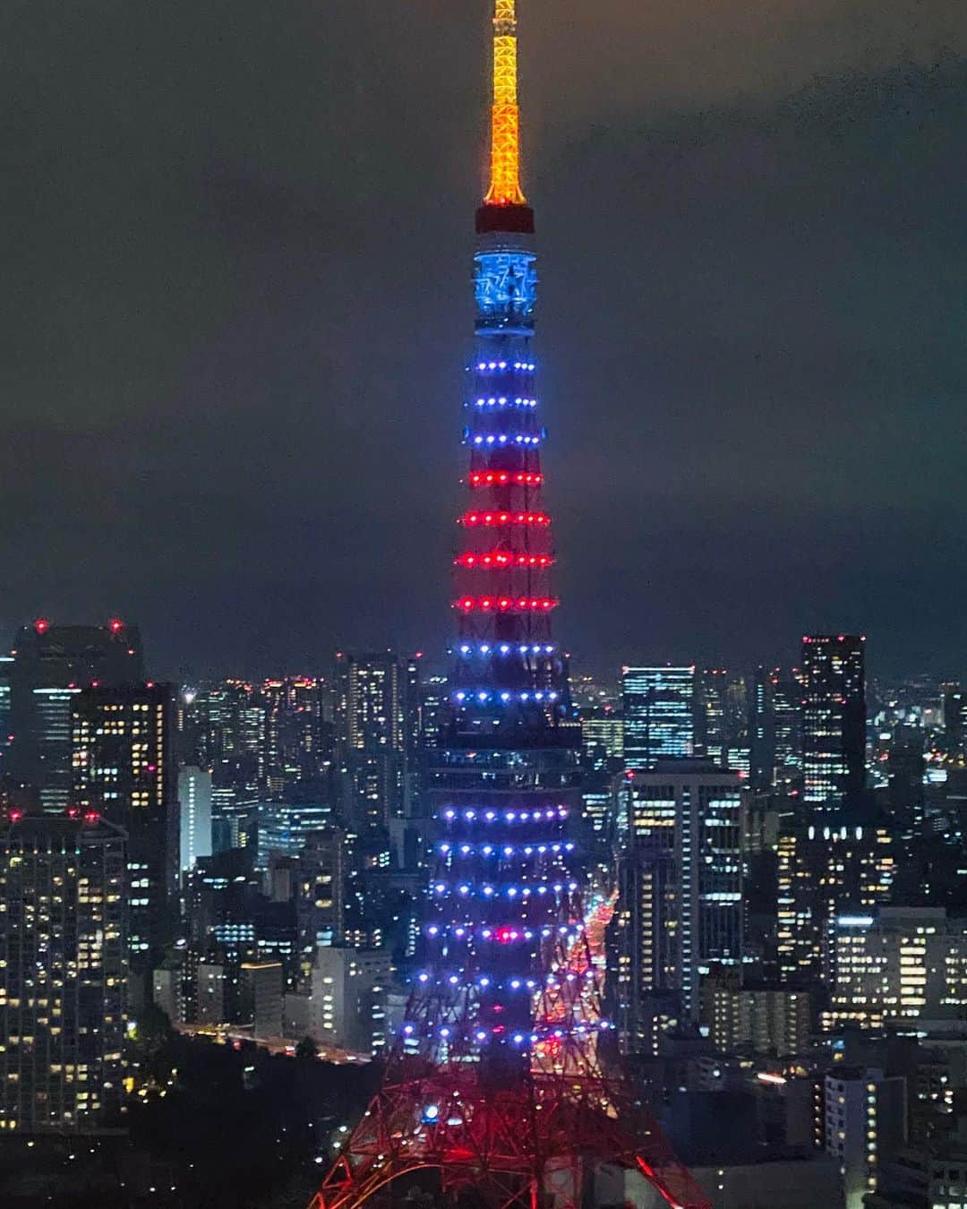 Laraさんのインスタグラム写真 - (LaraInstagram)「Iconic Tokyo views 🗼  . . 東京の象徴的な景色✨ . .」1月20日 3時08分 - fa_la_lara
