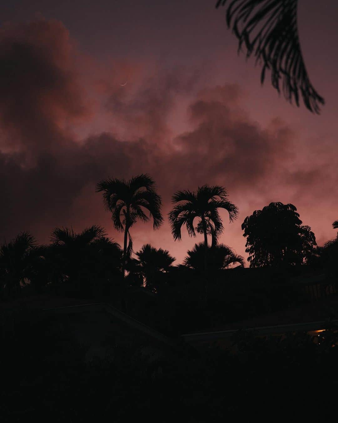 Enzo Cariniさんのインスタグラム写真 - (Enzo CariniInstagram)「Connexion 🌺🌙  #sunset #guadeloupe #travel #pinky #sky #vscocam」1月20日 3時21分 - enzo_carini