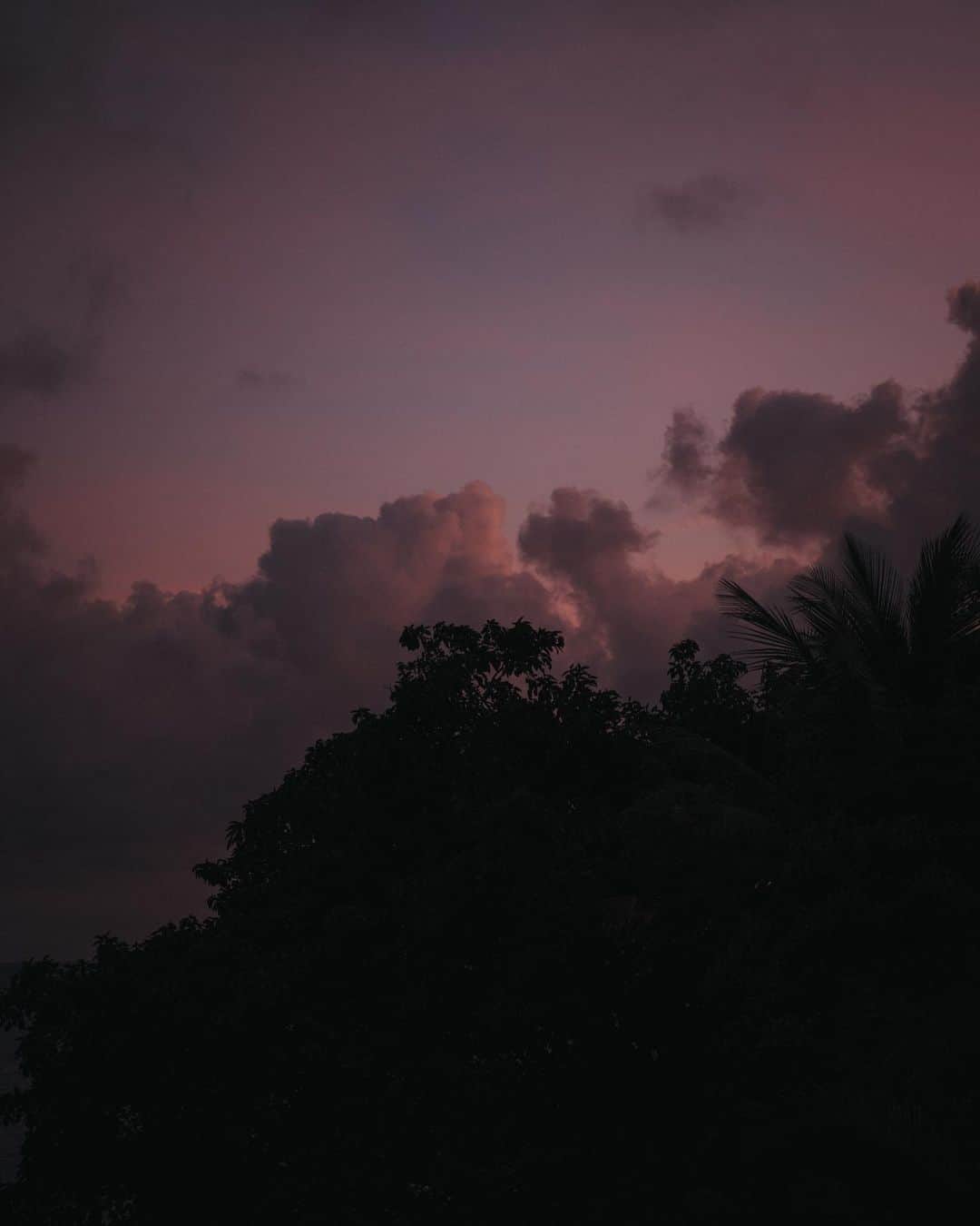 Enzo Cariniさんのインスタグラム写真 - (Enzo CariniInstagram)「Connexion 🌺🌙  #sunset #guadeloupe #travel #pinky #sky #vscocam」1月20日 3時21分 - enzo_carini