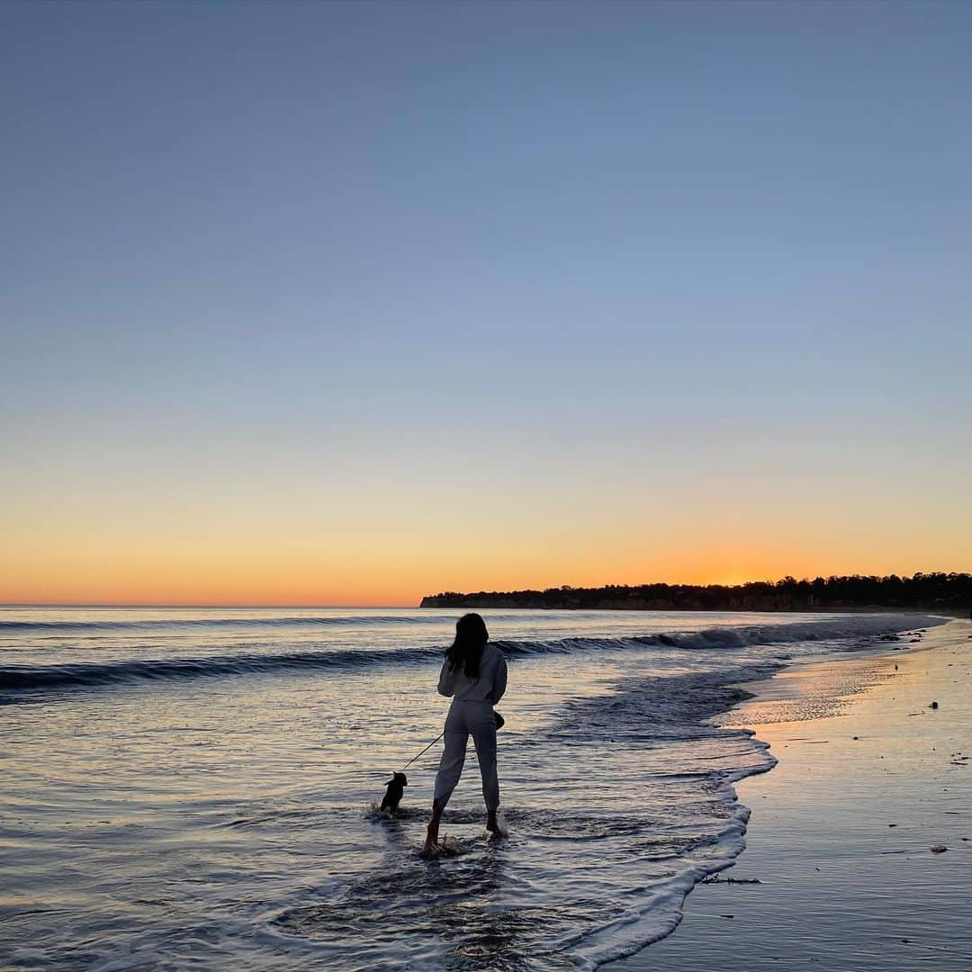 デュア・リパさんのインスタグラム写真 - (デュア・リパInstagram)「sunset walks with mi son Dexter ~🧡🐬💛🐬💙🐬🤍」1月20日 3時59分 - dualipa