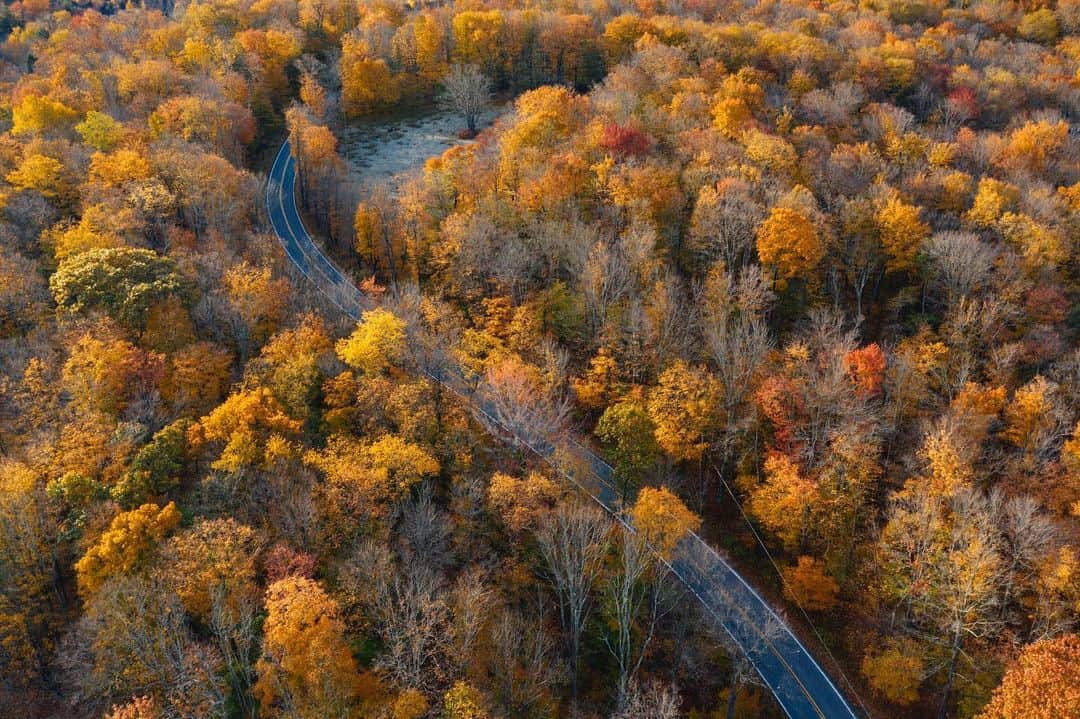 National Geographic Travelさんのインスタグラム写真 - (National Geographic TravelInstagram)「Photos by @MichaelGeorge / Last October I embarked on a road trip through New York and Pennsylvania to capture the scenery during peak fall. This first image shows the treetops which, when photographed at this angle, remind me of underwater coral. The second image shows a small church near Honesdale, Pennsylvania. The small graveyard looks like little sheep dotting the landscape. The final image is a road in Pennsylvania winding its way through the trees. For more photos and writing from my travels, follow along @MichaelGeorge. #fall #autumn #dronephotography #drone #peakfall」1月20日 5時46分 - natgeotravel