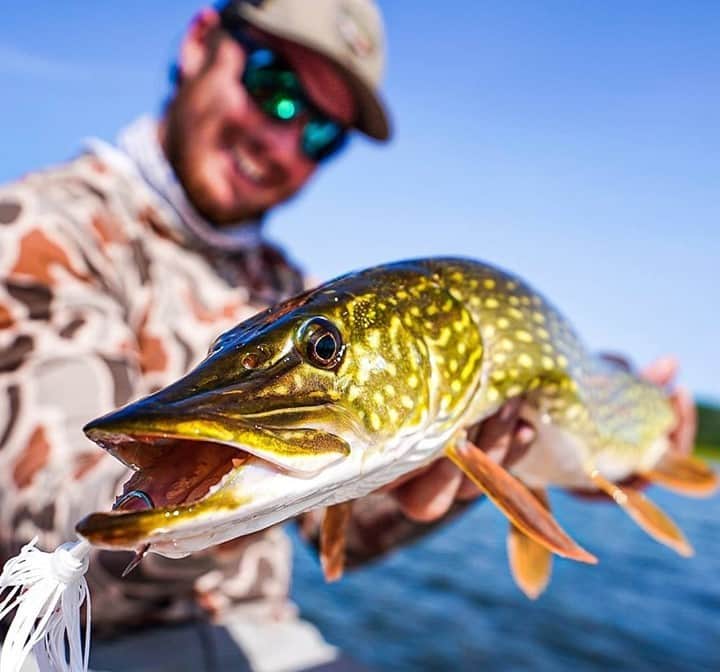 Costa Sunglassesのインスタグラム：「Wrangling water wolves. 📷: @sageindendi @jamezjohnson #SeeWhatsOutThere #BornOnTheWater」