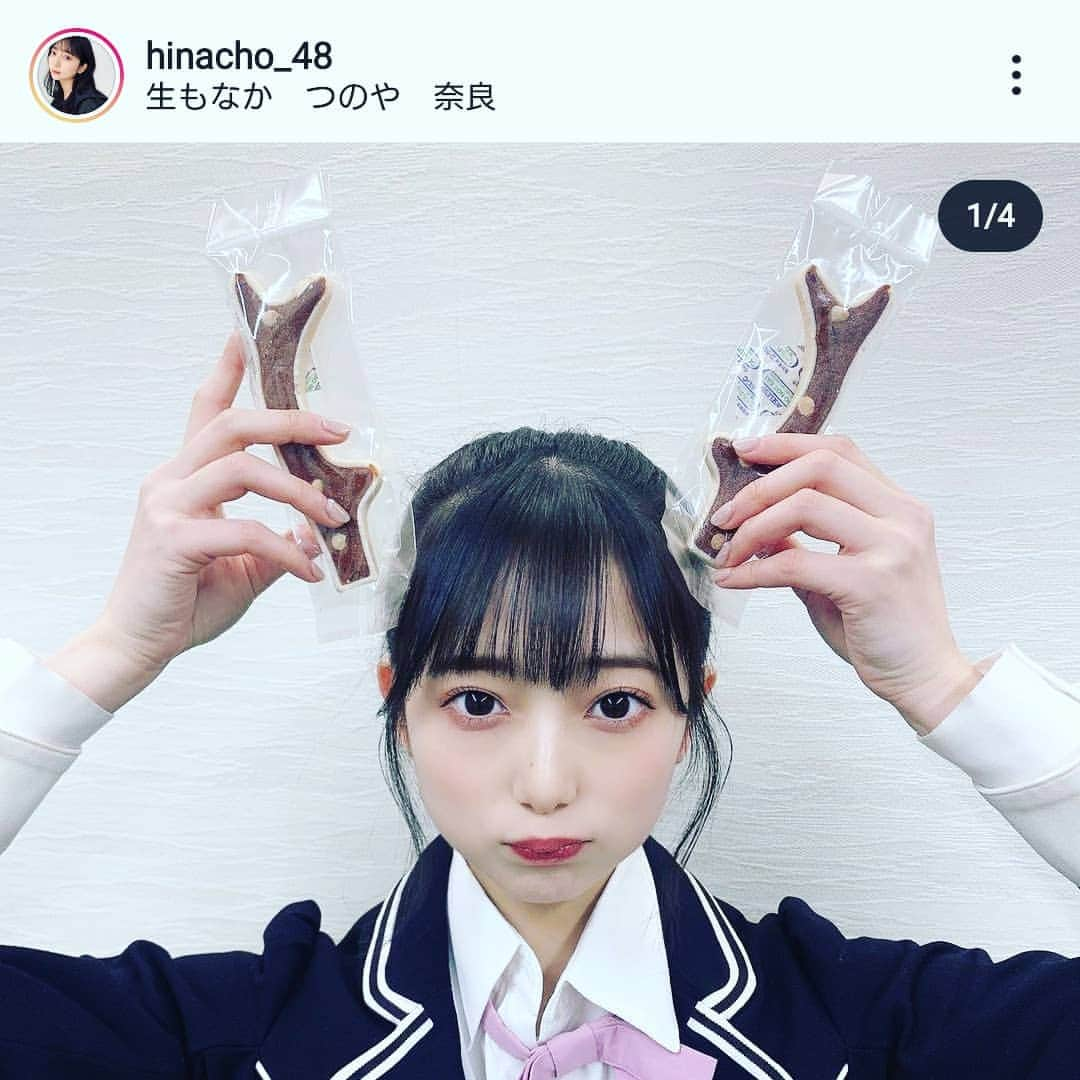 高井俊彦さんのインスタグラム写真 - (高井俊彦Instagram)「#〇〇シカ勝たん  #最終ロケ #nmb48  #南波陽向  #ひなちょ （@hinacho_48 ） #大垣知哉 （@tomoya.ogaki.office ） #三条通ショッピングモール #東向北商店街  #花芝商店街  #奈良 #奈良の商店街から奈良を盛り上げる #奈良といえば  #鹿の角  #フィナンシェ  #JR奈良駅前  #つのや #kcn  #ケーブルテレビ奈良  #奈良市観光大使への道」1月20日 7時29分 - takai_toshihiko