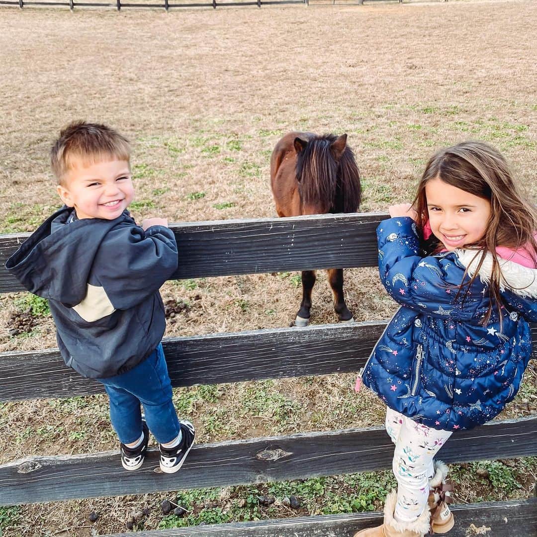 のインスタグラム：「Every horse is Spirit. 😂」