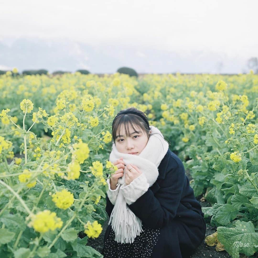 のインスタグラム：「. . . 今回も２ヶ月ぐらい会社行ってないので、そろそろ会社が懐かしい😅 昨日チームでテレビ会議してたら中途社員が一人増えてた。 もう誰が誰か分からない😂 外部の人と挨拶することも多いけど、うちの会社は一応画面出さないので、ラフな格好で大丈夫なんだけど、顔と名前が一致しないだろうな💦 . . この場所は、さすがにもうキャプがない😑 . . 撮影日 : 2021年1月3日 . #まっセル #エビプリ #hasselblad #ハッセルブラッド#instagramjapan #igersjp #tokyocameraclub #team_jp_  #art_of_japan_ #photogenic_jp #GPW_members_only #good_portraits_world #film_jp #film #フィルム #film_com #filmcamera #filmphotography #portrait #ポートレート #photogram_archive #todays_blue_collection #team_jp_ #shiga #滋賀 #何気ない瞬間を残したい #jp_portrait部 #菜の花 #第1なぎさ公園 #守山 #pro400h」