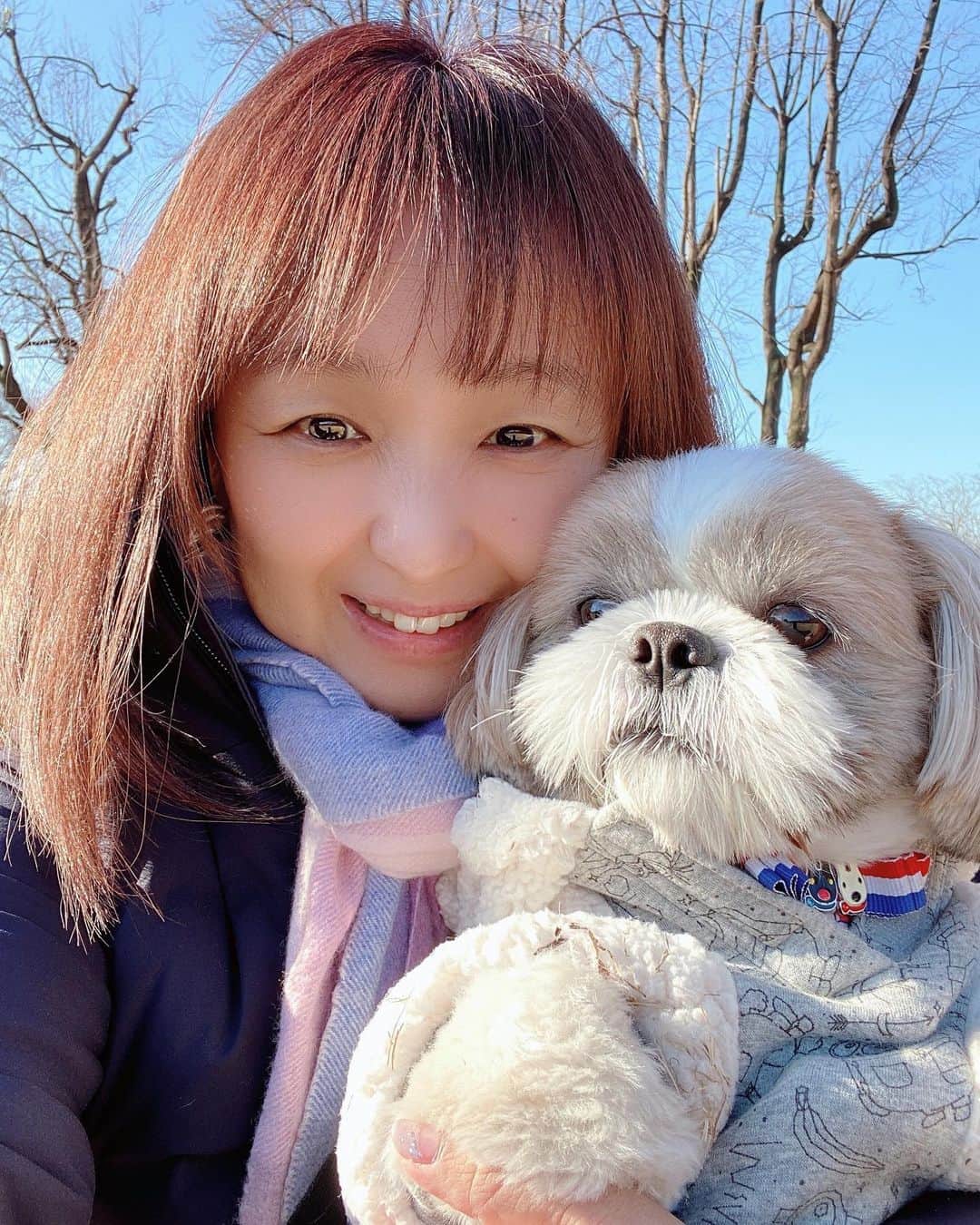 倉田雅世のインスタグラム：「おはようございます。 水曜日。大寒です。 昨夜も盛大に寝落ちてました。 あったかくしてお過ごしくださいね。 そういえば、わんこは２歳になりました。 これからもなかよくね。 #いぬすたぐらむ #いぬのいる暮らし」
