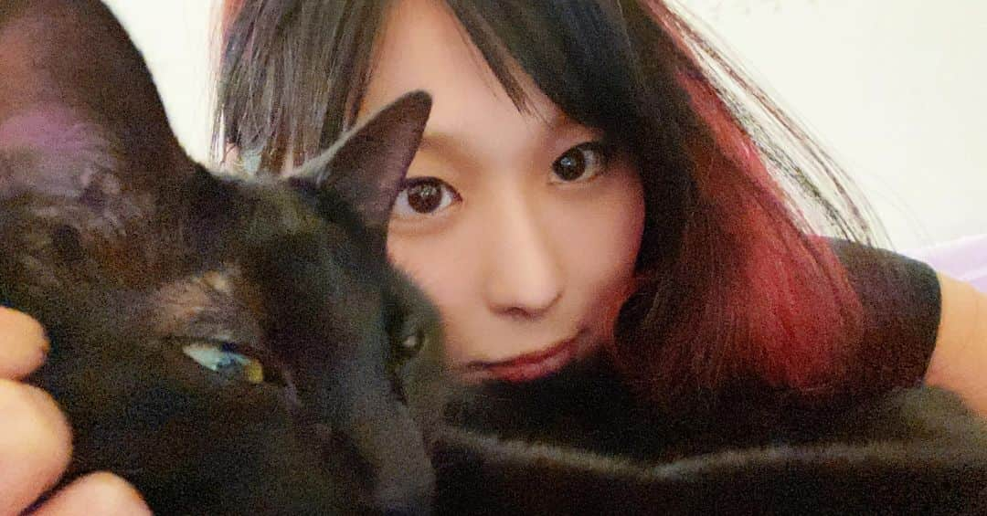 紫雷イオさんのインスタグラム写真 - (紫雷イオInstagram)「🐈‍⬛🐾✨✨  #blackcat」1月20日 8時47分 - iyo_sky