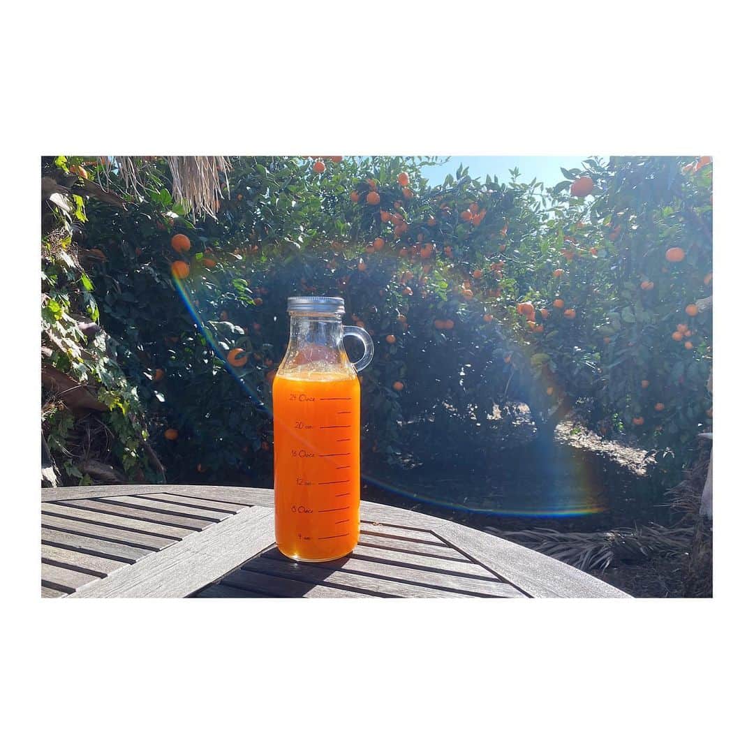 チン・ジェヨンのインスタグラム：「. 귤맑음 🍊 . . . #진재영일몬도jeju  . .」