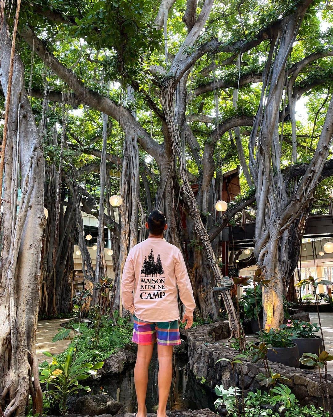 黒木理也のインスタグラム：「#maisonkitsunecamp 🌲🌳love tree」