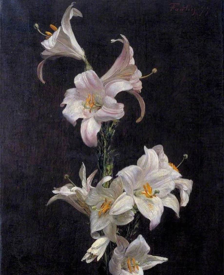 ケイリン・ルッソのインスタグラム：「Henri Fantin-Latour  White lillies   1877  What do you feel」