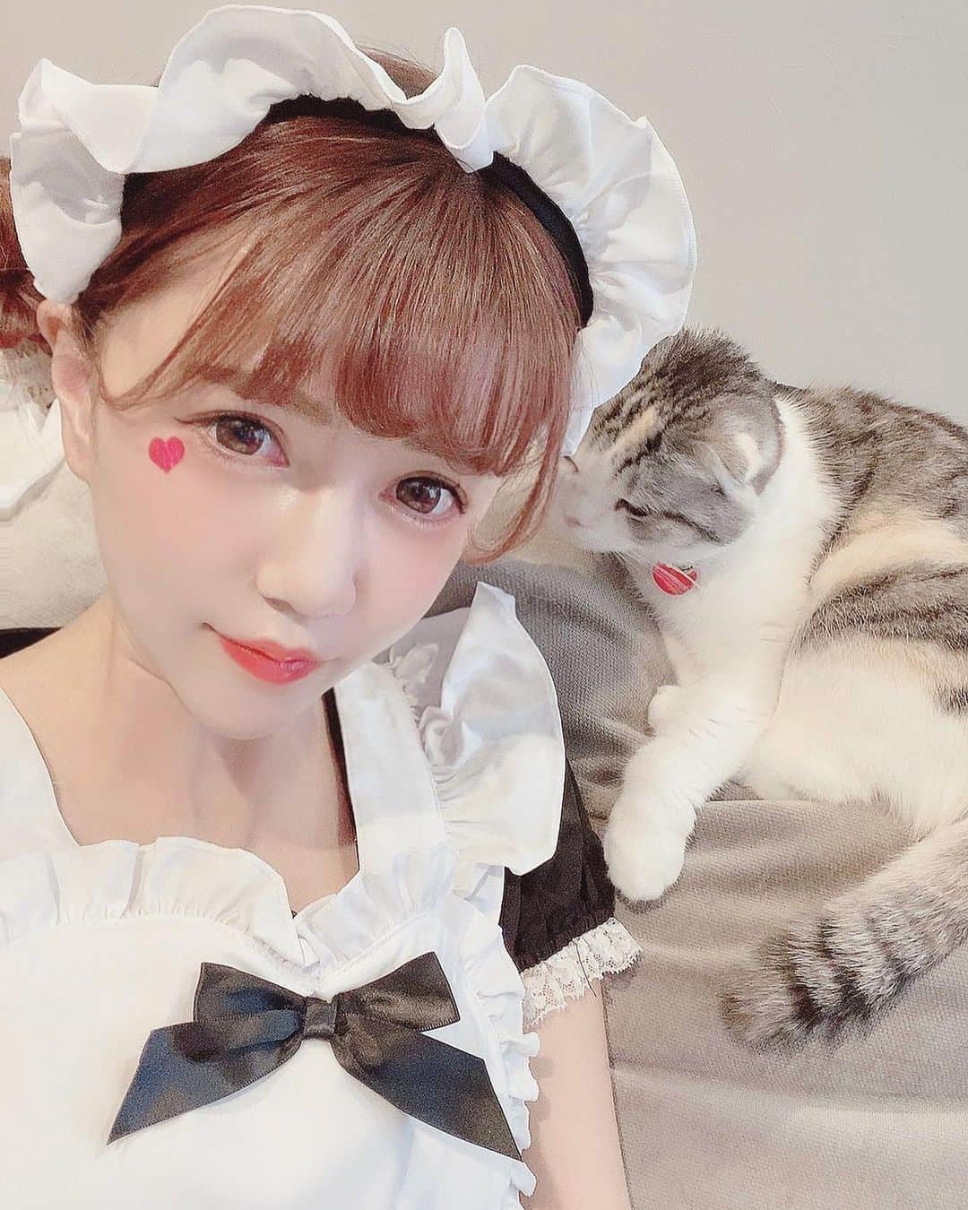 河西里音さんのインスタグラム写真 - (河西里音Instagram)「いってらっしゃいませ✨ ご主人様🤚🏻💓💞 ♡ 昨日のPocochaイベントで着た メイドさん(♡ᴗ͈ˬᴗ͈)⁾⁾⁾ 沢山のRyon's★の応援あって 3位に入賞することができました🙌✨ ホントーにありがとう(*⃙⃘ˊ꒳​ˋ*⃙⃘)*ᵗᑋᵃᐢᵏ ᵞᵒᵘ ¨̮ ほぼ、毎日朝配信してます🎧💗 @Rion🌈🎙💖 遊びに来てネ☀️✨ #メイドさん #コスプレ #ポコチャライバー #pococha  #pocochaライバー  #musicライバー #singer #cat #japanesegirl」1月20日 9時34分 - rion_kasai