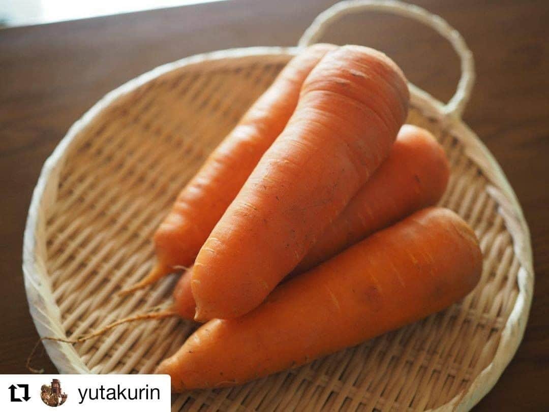 のインスタグラム：「新潟の「逸品」を全国へ！ 産地直送のお取り寄せ通販・ギフトサイト⠀ ─────────────────── 新潟直送計画 /@niigata_shop ─────────────────── ‌. 【#新潟直送計画アンバサダー ﻿】@yutakurinさんの素敵な投稿をご紹介！ ‌. ─────────────────── 新潟直送計画お取り寄せ③ 魚沼市 はらんなかさんの 「熟成にんじん」 ・ 雪下にんじんは残念ながら売り切れ。でも味は劣らない熟成にんじん。 秋に収穫したにんじんを安定した低温倉庫で貯蔵熟成保存したもの。 ・ にんじん嫌いも食べられると。ふむふむ。 泥付きで大きくて立派✧ ・ arikoさんのrecipeでにんじんのポタージュ🥕お米を入れるのがポイント！ こっくり甘くて優しいお味◡̈*❤︎ ・ 久しぶりに#麹ホイップ も作ったので#フィレオフィッシュサンド 𓆝…食パンしかなかった^^; ・ 食べるのあっという間でさ……すぐお片付け…⁽⁽(ཀ д ཀ)⁾⁾้ あぁ〜stay home ・ ・ #新潟直送計画 #新潟直送計画で買ったよ #新潟直送計画アンバサダー #はらんなか #熟成にんじん #にんじんのポタージュ #arikoの食卓  #studiofujino #竹口要 #stayhome」