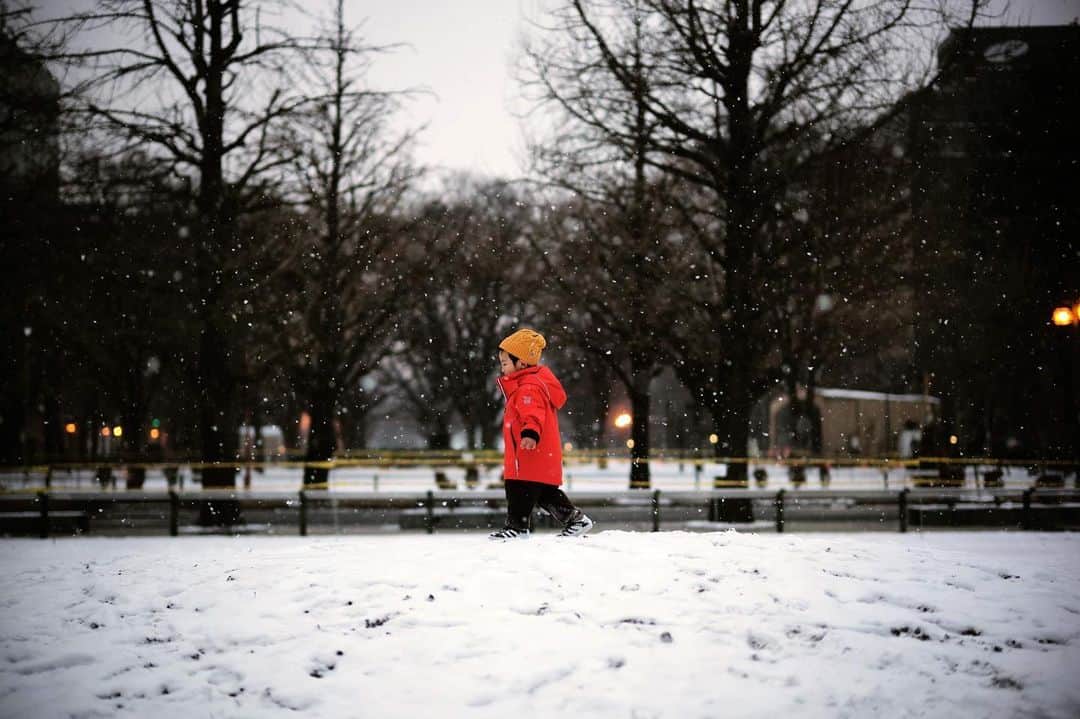 大杉隼平さんのインスタグラム写真 - (大杉隼平Instagram)「雪が舞う街中。  #写真 #leica #leicaphotography #ライカ #leicacamera #leicaphoto #雪 #snow #shumpeiohsugi #大杉隼平」1月20日 19時20分 - shumpeiohsugi_photographer