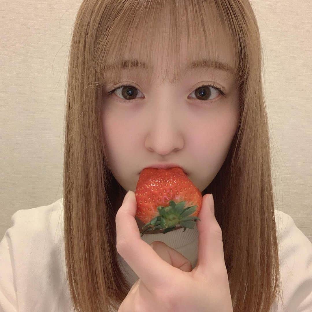 白井真緒のインスタグラム：「1日1パックで我慢してる。﻿ 食べ過ぎかな....🥱﻿ ﻿ ﻿ ﻿ #とちおとめ #いちご #栃木 #栃木県 #名産 #地元PR #とちぎのみりょく #フルーツ #イチゴ #苺 #もぐもぐタイム #ハイトーン #ハイトーンカラー」