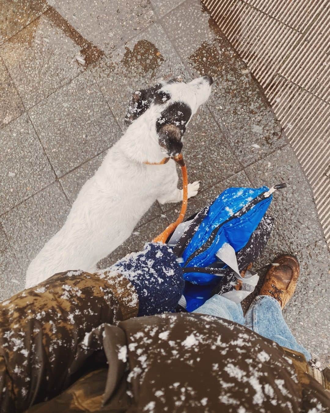STIL IN BERLINさんのインスタグラム写真 - (STIL IN BERLINInstagram)「During yesterday's heavy snowfall it was finally time to try a pick-up hack – using a cooling bag to keep the food insulated! I am sure all of you are already practicing this very succesfull technique while I was still carrying my falafel sandwich underneath my coat to keep it warm. So I picked up my lunch, crispy tofu and veggies in peanut sauce with extra (delicious) sauerkraut from @caphe_hoa, placed it in the cooler bag, walked 15 mins home through the snow and ate it hot and fresh on my couch! What a treat!」1月20日 19時30分 - stilinberlin