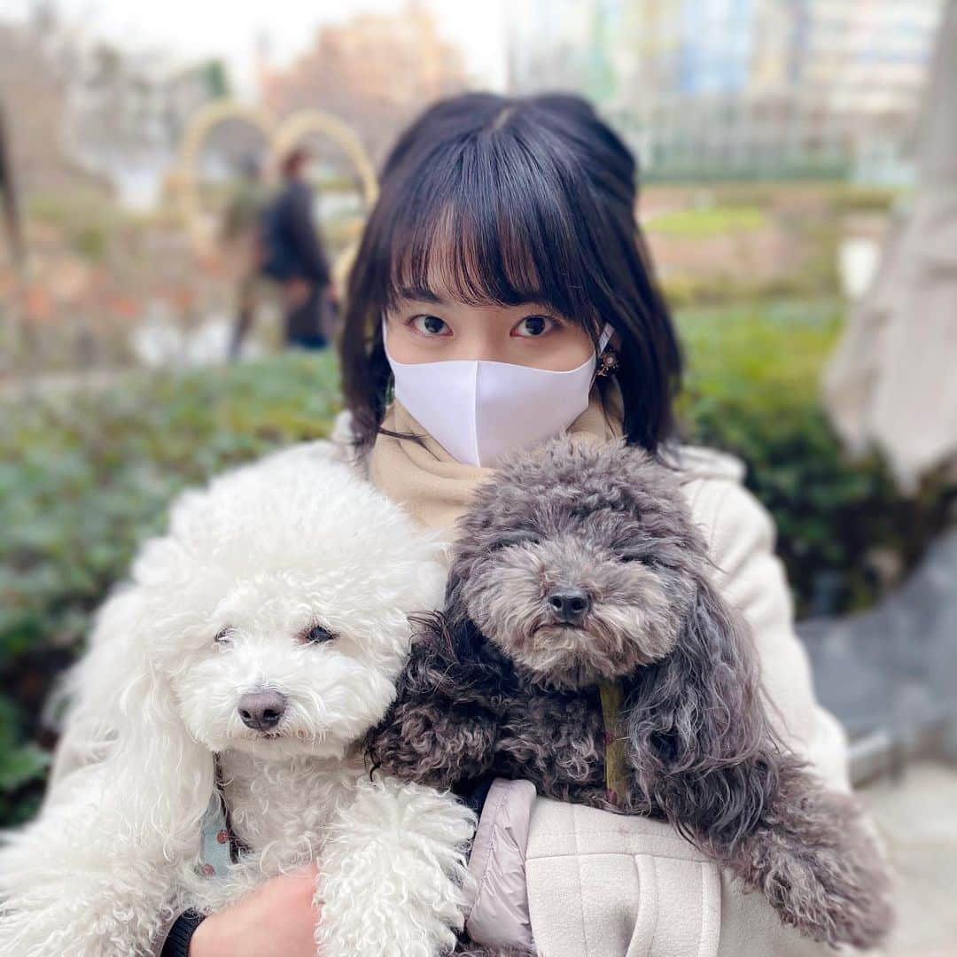 野村麻衣子のインスタグラム：「もふもふのお裾分け〜🍲」