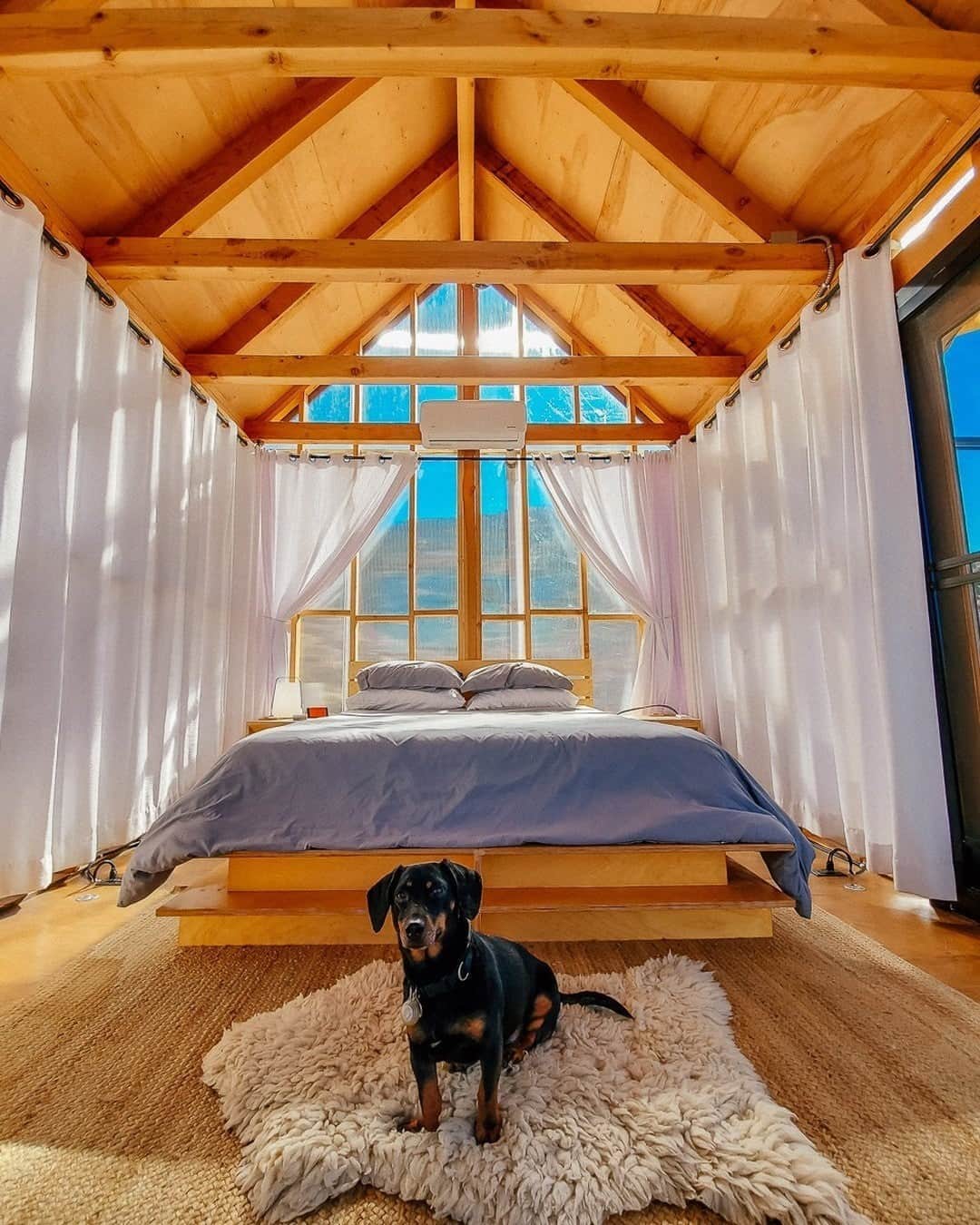 Airbnbのインスタグラム：「Impeccable design, 360 degrees of high-desert light, and s’mores by a fire pit rarely crack a dachshund’s travel checklist. But the prospect of roaming as far as your little legs can take you—in Joshua Tree National Park or on trails leading right from the property—is a different story. The sun provides the electricity, while Dani, your attentive host, provides everything else you need to enjoy the area.  Link in bio to add to your wish list.  Photo: @itsthatocgirl」