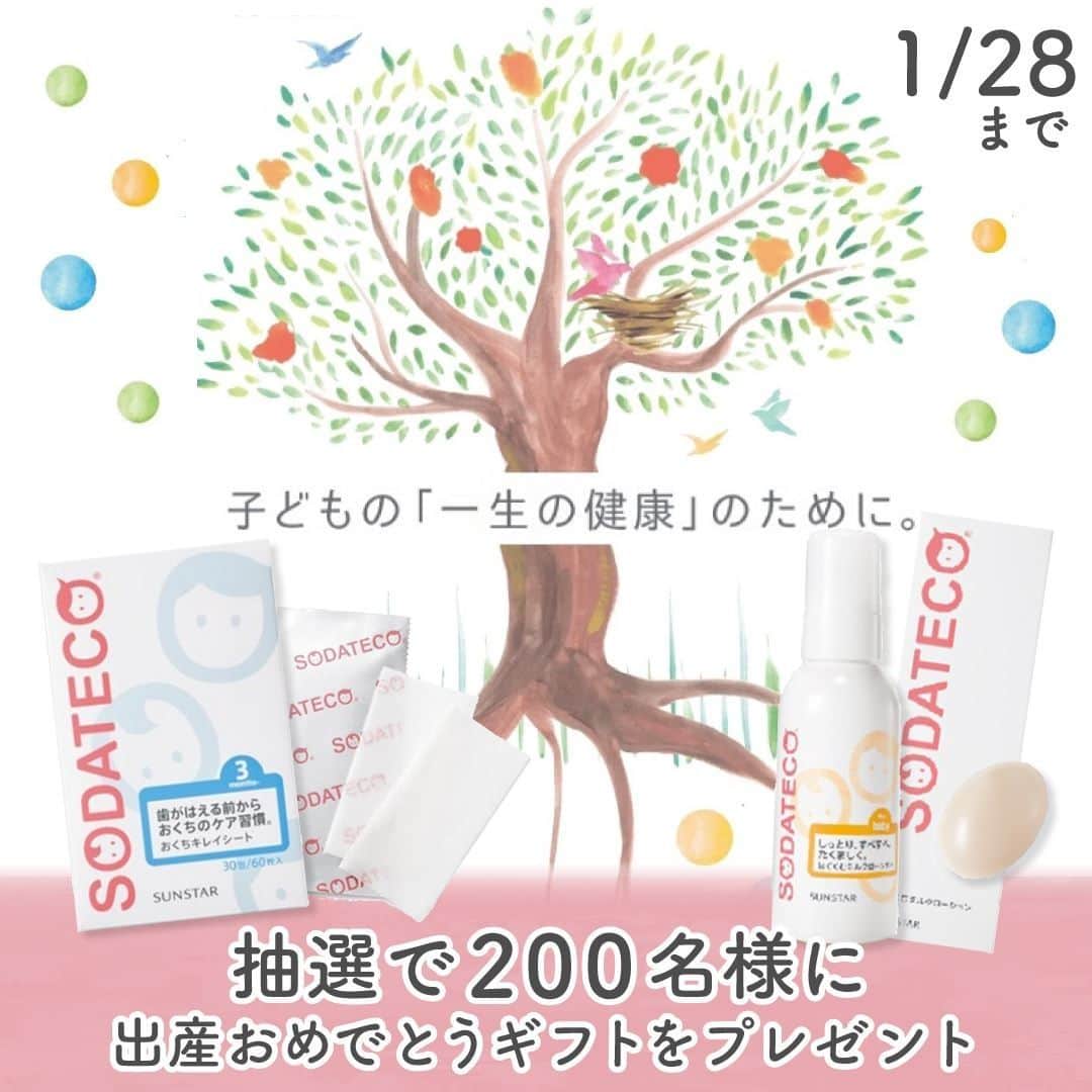 cozre（コズレ）マガジン公式のインスタグラム：「cozreマガジンプレゼントキャンペーン実施中🎁 • お口の健康を考えるサンスターから登場した新シリーズ、『SODATECO（ソダテコ）』の出産おめでとうギフトを抽選で200名様にプレゼント🎁✨  『ソダテコ はぐくむミルクローション』 『ソダテコ おくちキレイシート』 の2つをセットでもらえるチャンス🎵 • ★★ • ■応募方法 ①ストーリーまたは、@cozre プロフィール→ハイライト「ピックアップ」からプレゼント応募ページへ移動 ②画面の指示に従ってご応募ください • ■応募締切 2021年1月28日(木)23:59 • ■賞品 出産おめでとうギフト 　『ソダテコ はぐくむミルクローション』1本（150g） 　『ソダテコ おくちキレイシート』30包（60枚入） • その他詳しい応募概要・注意事項は、プレゼント応募ページをご覧ください。 • ［PR］サンスター株式会社 ※本キャンペーンは、サンスター株式会社が主催するキャンペーンです。 • ーーーーーーーー • #cozre #コズレ #コズレマガジン #cozreマガジン #コズレプレゼント #子育て #ママ #プレゼント #キャンペーン #プレゼントキャンペーン #プレゼント企画 #キャンペーン実施中 #赤ちゃん #赤ちゃんのいる生活 #赤ちゃんのいる暮らし #ベビー #ベビスタグラム」