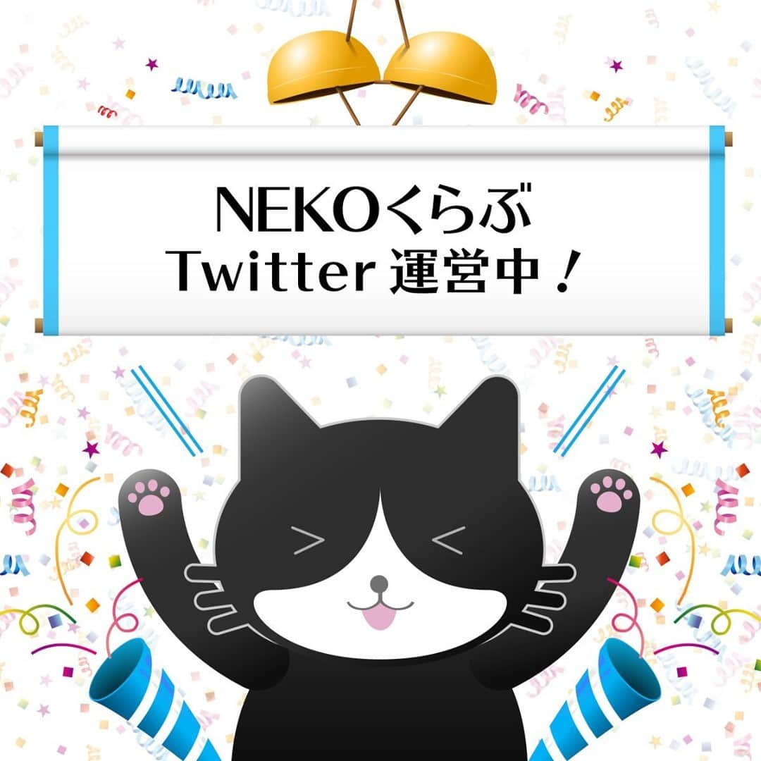 NEKOくらぶさんのインスタグラム写真 - (NEKOくらぶInstagram)「NEKOくらぶ　Twitterアカウント運営中！⠀ .⠀ https://twitter.com/nekoclub_fb⠀ .⠀ 「NEKOくらぶ」はTwitterアカウントも運営中です！⠀ .⠀ Instagramで「#nekoclub」や「#NEKOくらぶ」のどちらかをつけてご投稿いただく、または、「NEKOくらぶ」Facebookページへご投稿いただいた皆さんの猫写真を、NEKOくらぶのFacebook、Instagram、Twitterで紹介いたします。⠀ 猫や猫グッズがお好きな皆さま、是非ご参加ください。⠀ .⠀ どうぞよろしくお願いいたします。<PR>⠀ .⠀ ▼NEKOくらぶ Twitterアカウント⠀ https://twitter.com/nekoclub_fb⠀ .⠀ ▼NEKOくらぶ Instagramアカウント⠀ @nekoclub_jpn⠀ .⠀ ▼NEKOくらぶFacebookアカウント⠀ https://www.facebook.com/nekoclub.jpn⠀ .⠀ ※皆様、政府、自治体など公的機関の指示に従った行動をお願いします。⠀ 東京カメラ部および分室では、写真を「見る楽しみ」を提供することを通して、微力ながら皆様にわずかな時間でも癒しをお届けしたいと思っております。⠀ ※本アカウントは東京カメラ部がFacebook、Instagramのサービスを利用して運営しているもので、Facebook社・Instagramとは一切関係ありません。」1月20日 12時00分 - nekoclub_jpn