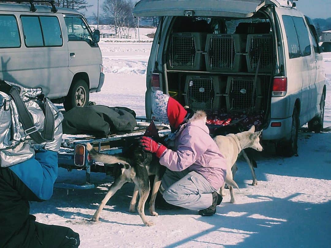 水崎綾女さんのインスタグラム写真 - (水崎綾女Instagram)「懐かしシリーズ。 16歳の私とお犬様。 犬ぞりレースに参加したんだなぁ( ´Д`)y #雪 #犬 #犬ぞり #犬ぞりレース #snow」1月20日 12時07分 - misakiayame