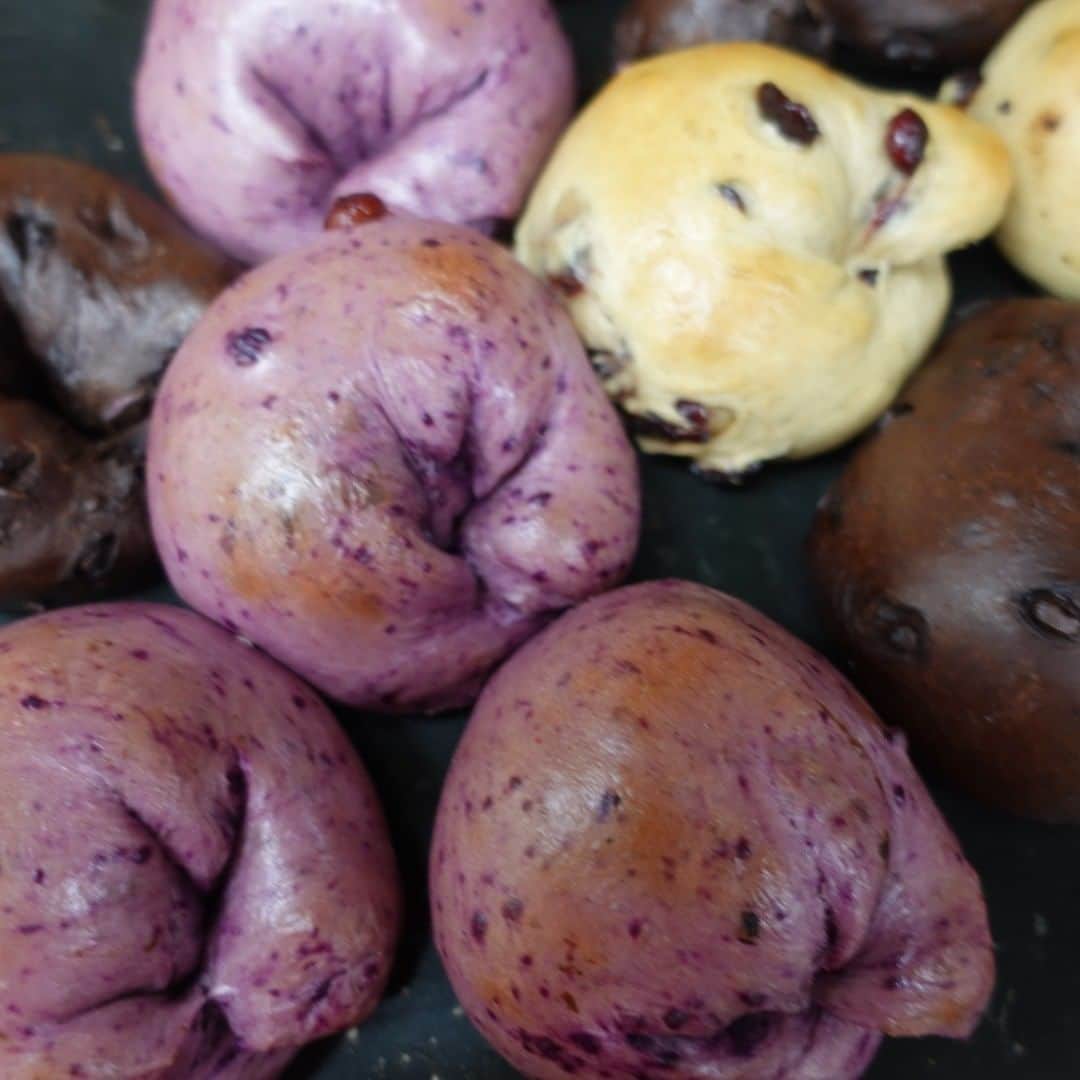 魔女菅原のグルメインスタ