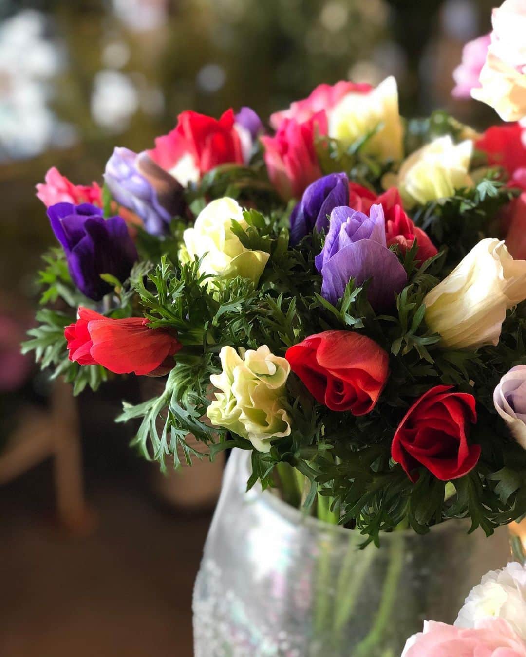 アンヘロ・カロ・ヌエバスのインスタグラム：「可愛いアネモネ、ラナンキュラスなど、春のお花とお待ちしてます。  #flowers  #花のある暮らし  #flowershop  #花屋」