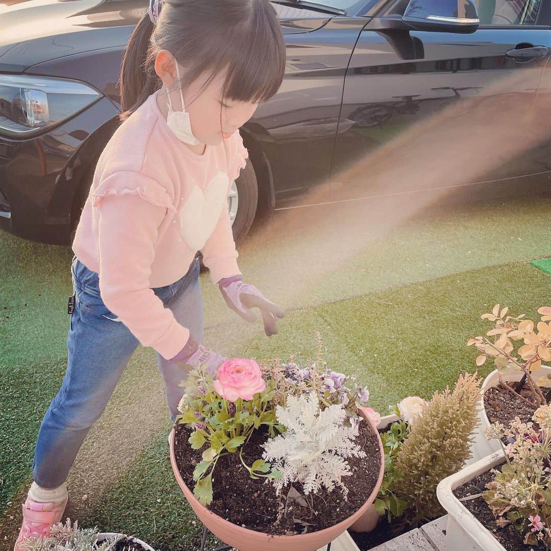 山内智恵さんのインスタグラム写真 - (山内智恵Instagram)「ラナンキュラスの苗を発見して 即買いしたママ👩✨💖 ・ 子供たちも苗をみて わぁーーーーって 喜んでくれて ・ しかも自分から 進んで苗を植えてくれました♪ ・ 我が家でも学校でも お花や緑 そして虫たち、土の ふれあいができる環境に 感謝してます🙇‍♀️ ・ 夜は星もみえて 我が家のバルコニーから 月がみえます😌 ・ 日常の素晴らしいさ 大きく息をして 幸せを噛み締めています💖 ・ そっと我がファミリーを 見守ってくれるかたにも 感謝✨ありがとうございます❣️ #山内智恵#マキろん#japanese kids #family #flowers #家族#花 #花のある暮らし#可愛い#ありがとう#大好き#follow#ootd#ラナンキュラス #Ranunculus」1月20日 12時20分 - chie_yamauchi