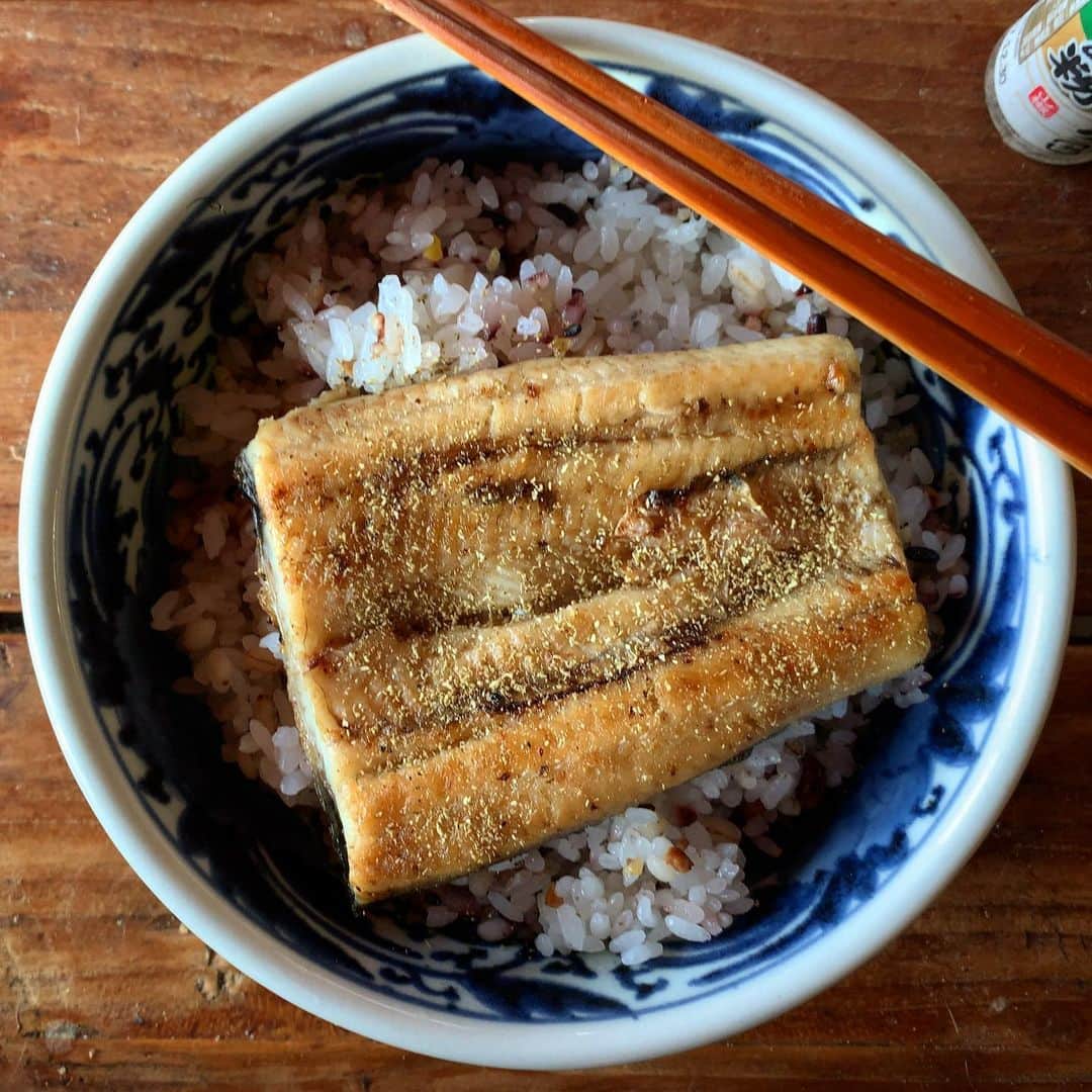 池内万作のインスタグラム：「お昼。 うにゃに。 たまらん。 ありがとう〜！ #イケウチ家の食卓 #みちょ食堂」