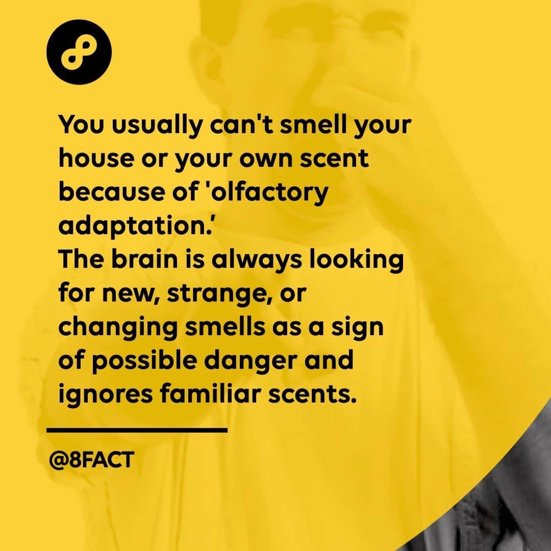 のインスタグラム：「Is that why I can’t smell anything after I farted」