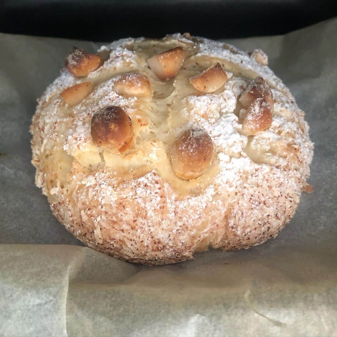 のインスタグラム：「パン、焼いちゃいました✨😙💕 ・ 例によって、明日のパンがない事に昨夜気がついて、、牛乳もあまり無かったのでヨーグルトで作れるパンを検索したら、、❗️ありました☺︎ ・ レシピではベーキングパウダーのところをイースト菌にして一晩寝かせて、朝焼いてみたら、、もう最高❤️ ・ 焼きたてパンはやっぱり美味しいなぁ〜✨✨✨部屋中に漂うパンの香りにまず癒され、、美味しさに癒され、、これはパワーでます♪ ・ 簡単に出来るので、#クラシル さんで検索してみてください♪かなりおすすめデス🥰リピ決定！✨ ・ #手作りパン #ヨーグルトパン #かんたんレシピ  #簡単 #マカダミアナッツ #入れてみた #焼きたてパン  #美味しすぎました💕  #おうち時間」