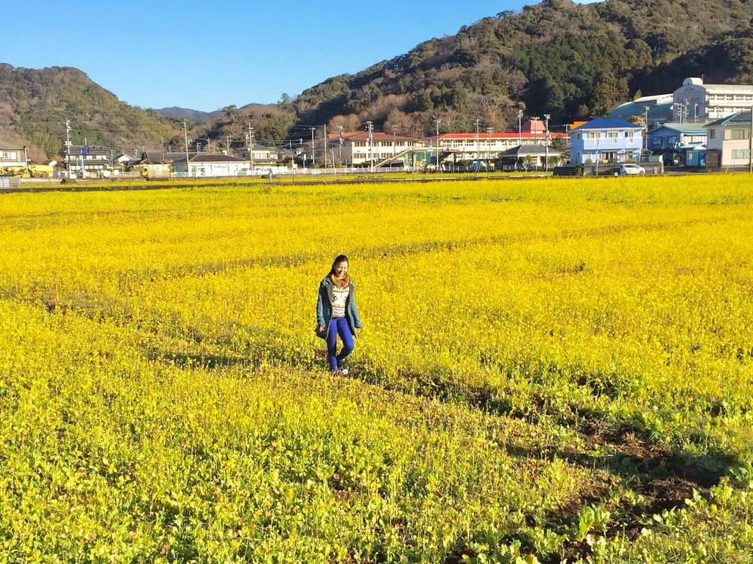 遊佐ちえみのインスタグラム