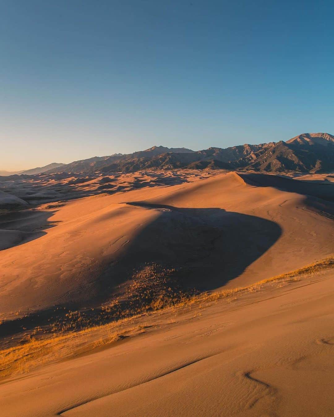 instagoodさんのインスタグラム写真 - (instagoodInstagram)「@theappdude17 Great Sand Dunes is very much deserving of more than just one picture. Definitely the most unique place I’ve ever visited, and easily one of my favorites. Hiking up these sand dunes was one of the most challenging things I’ve ever done, but man was it a surreal experience. I would go back to Colorado just to see these again!」1月20日 12時51分 - instagood