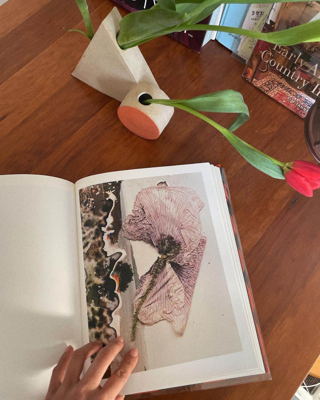 芽朗さんのインスタグラム写真 - (芽朗Instagram)「NYに行った時に　@miwasusuda さんの本屋さんでみわさんにオススメしていただいたStephen gillの作品集。  本当に出会えて良かったと思う。  gillが住むハックニーで採集してきた花や種実などを乾かし、潰し、同じ場所で撮った写真の上に配置しながら撮影したり、 現像した写真を一度ハックニーに埋めて掘り出したり 自分が住む土地をキーにコラボレーションした作品集。  いつもそばにある日常も角度を変えたり掘り下げてみたり、少し起きる時間を変えたりするだけで新しい気持ちや発見があると教えてくれているようで 大好きだな〜。📚  #mellowfukushima  #art#Stephengill#hackneyflowers  #dsfloral」1月20日 13時00分 - mellowfukushima